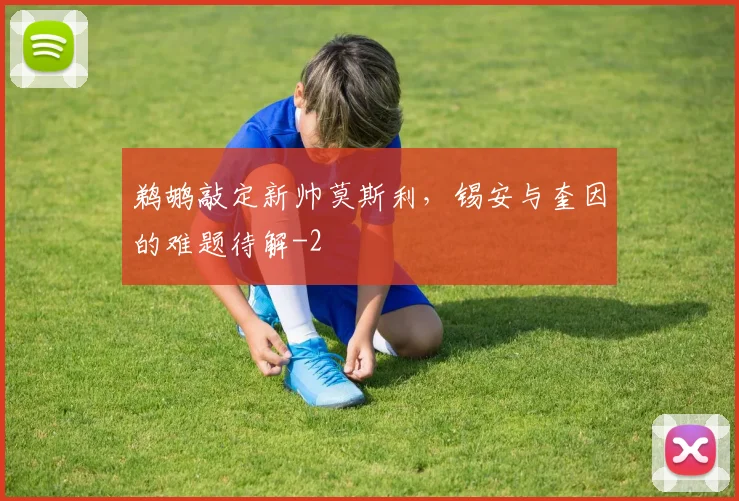 鹈鹕敲定新帅莫斯利，锡安与奎因的难题待解