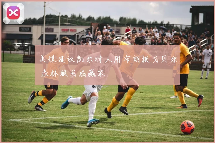 美媒建议凯尔特人用布朗换戈贝尔 森林狼或成赢家