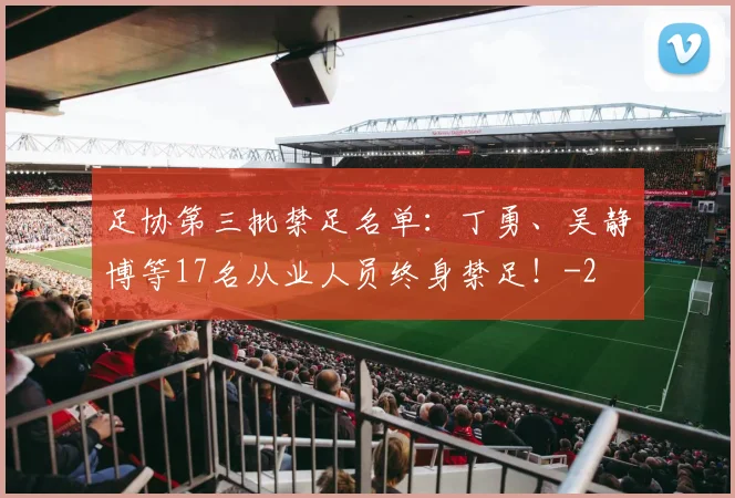 足协第三批禁足名单:丁勇、吴静博等17名从业人员终身禁足!