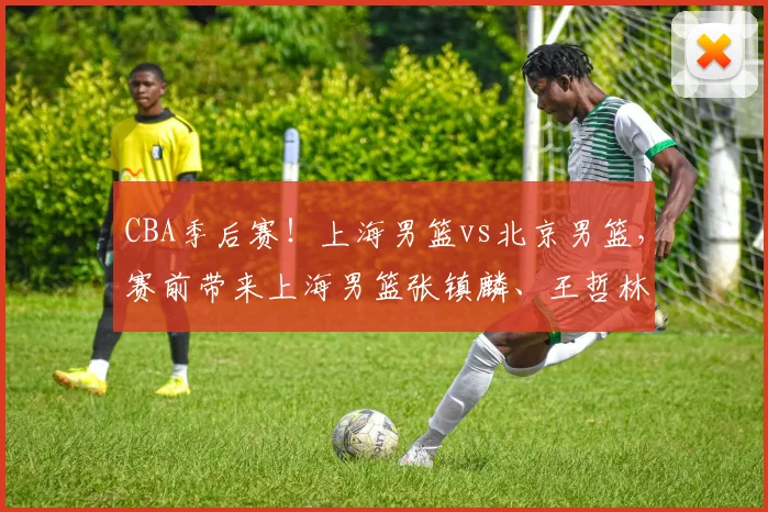 CBA季后赛！上海男篮vs北京男篮，赛前带来上海男篮张镇麟、王哲林、怀特塞德以及北京男篮赵睿和周琦最新消息