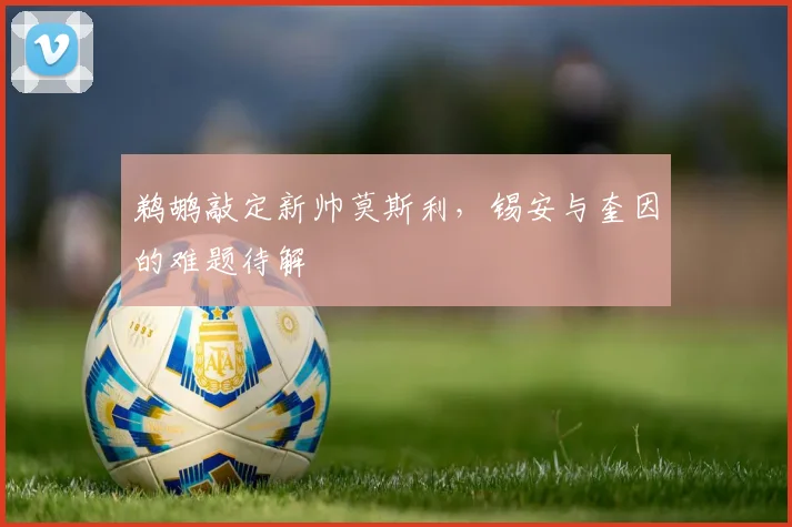 鹈鹕敲定新帅莫斯利，锡安与奎因的难题待解